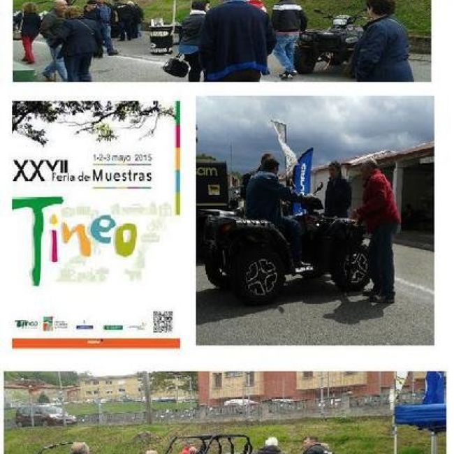 big not 10020 1 tineo15