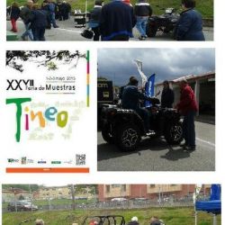 big not 10020 1 tineo15