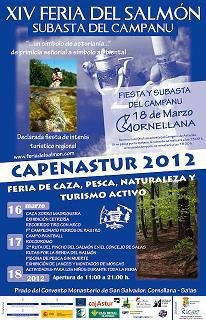 big_not_6011_1_CAPENASTUR2012.JPG