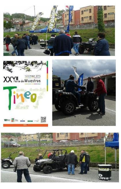 big_not_10020_1_tineo15.JPG